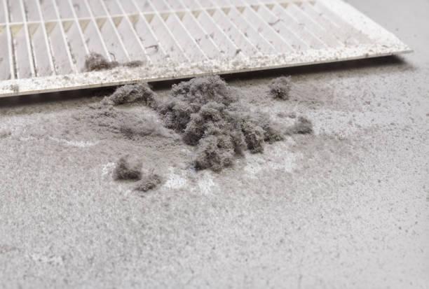 Best HVAC System Cleaning  in Tennessee Ridge, TN