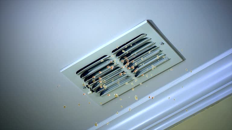 Best HVAC Maintenance and Cleaning  in Tennessee Ridge, TN