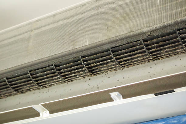 Best Professional Duct Cleaning Services  in Tennessee Ridge, TN