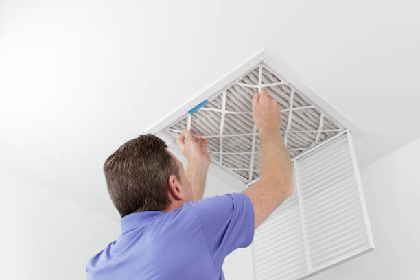 Best Air Duct Sanitizing Services  in Tennessee Ridge, TN